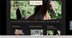 Desktop Screenshot of jokar.pl