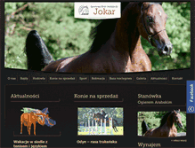 Tablet Screenshot of jokar.pl